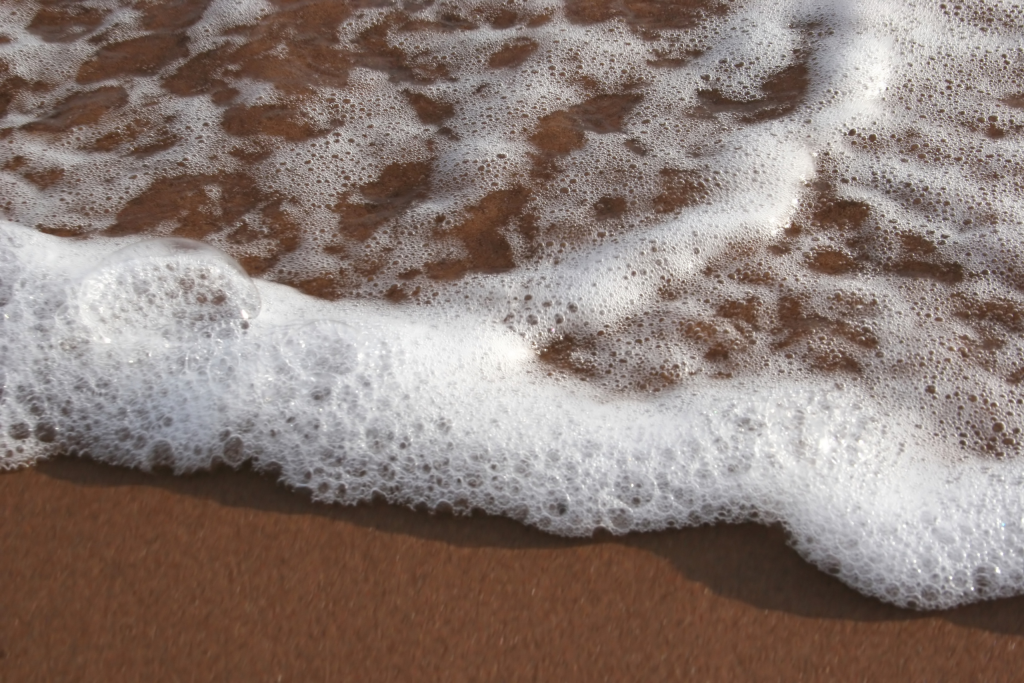 SeaFoamTheFacts