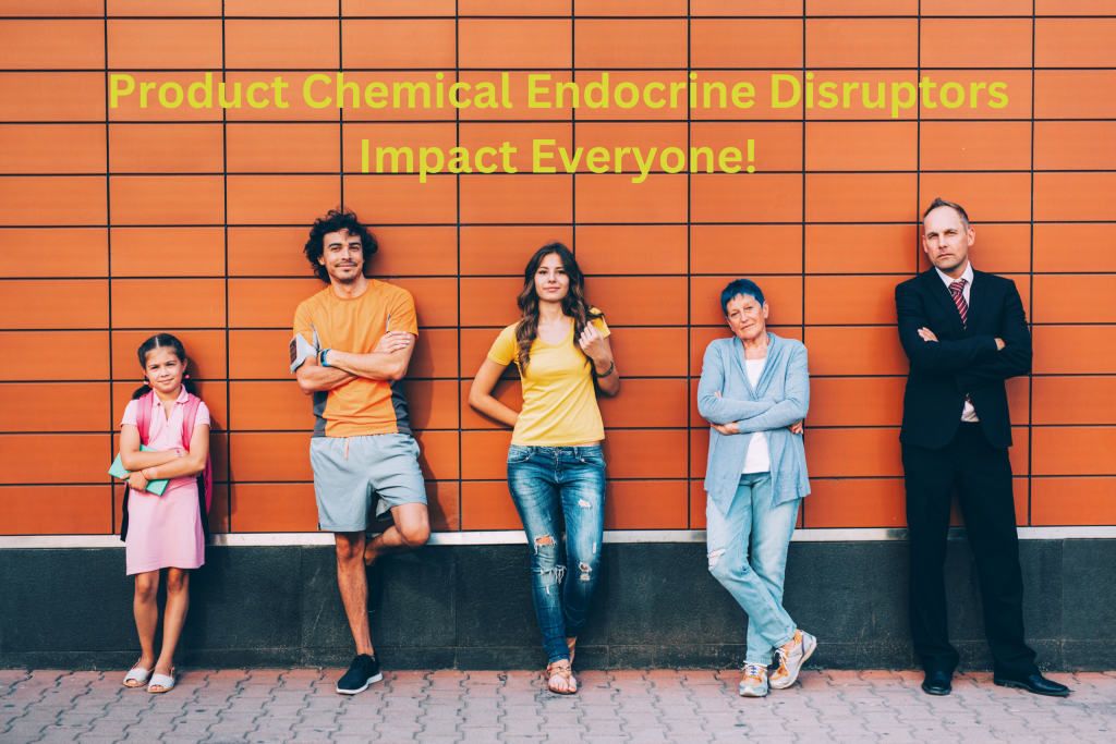 FactSpgEndocrineDisruptors2560 x 1707 hormone disruptors effect everyone
