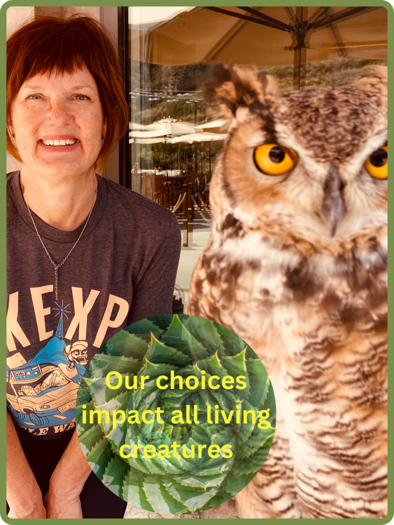 Great Horned Owl