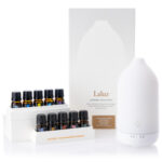Healthy-Air-Freshener-main
