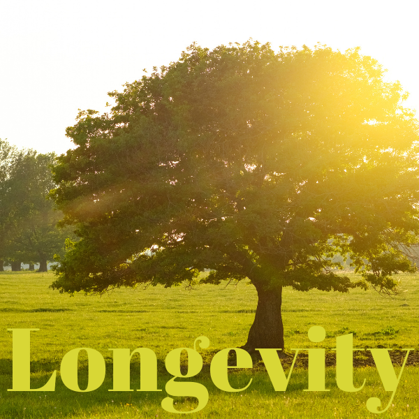 Top 10 Low-Toxin Living Tips