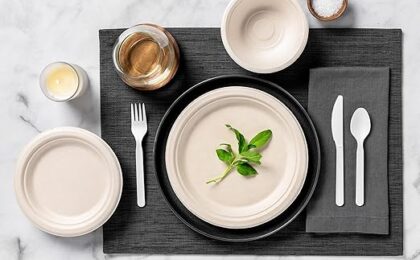 eco disposable tableware