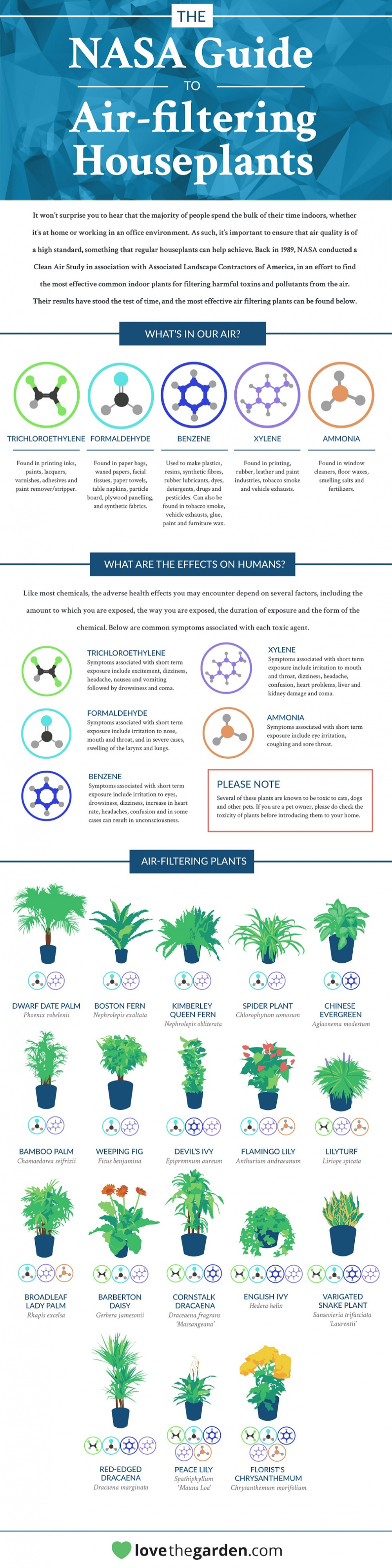 NASA Houseplant Study