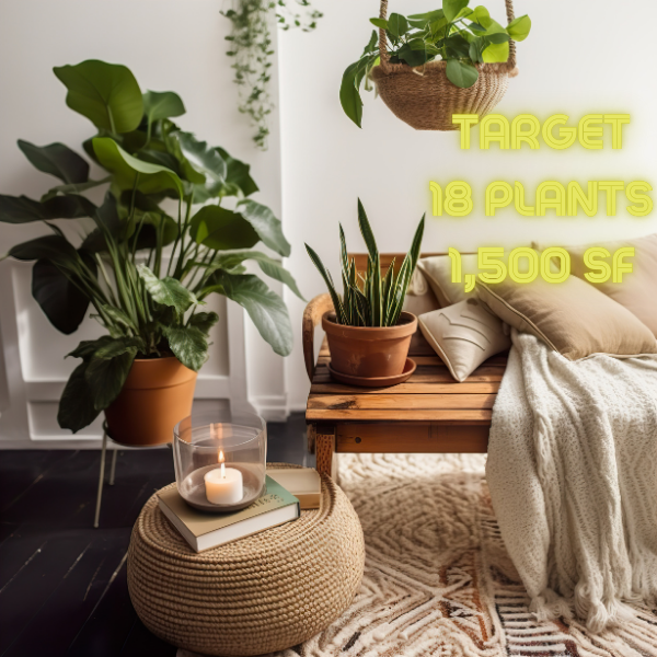NASA Houseplant Study