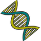 DNA DNA