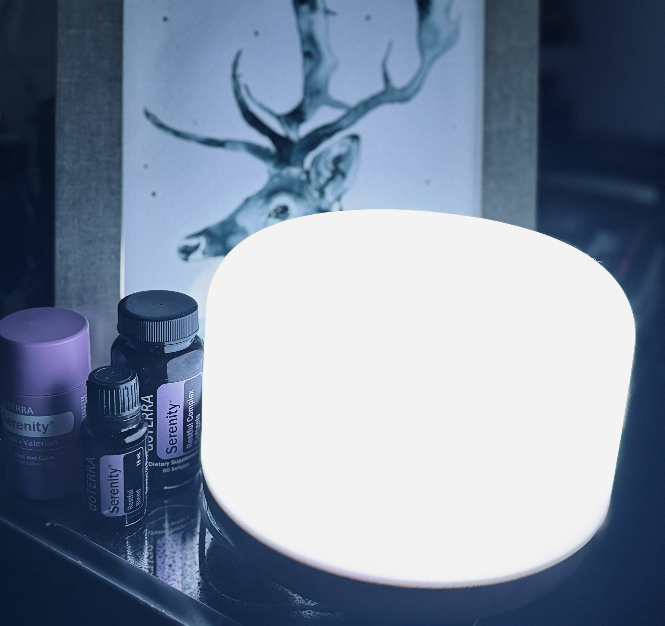 NightstandEssentialOilDiffuser