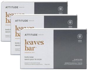 plastic free soap