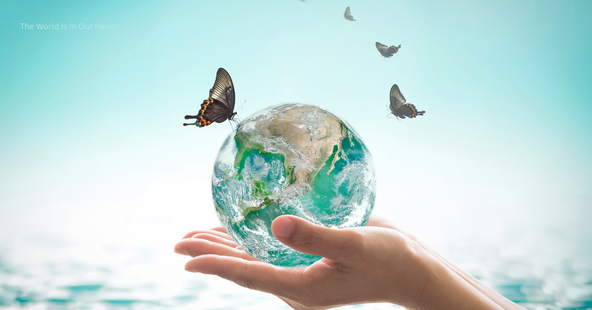 Human Impacts On The Environment