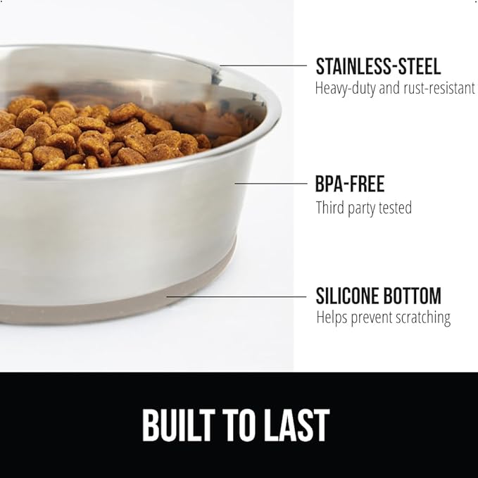 BPA-Free Pet Bowls for Your Fur Babies