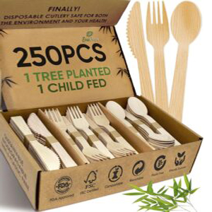 Eco-Friendly Silverware